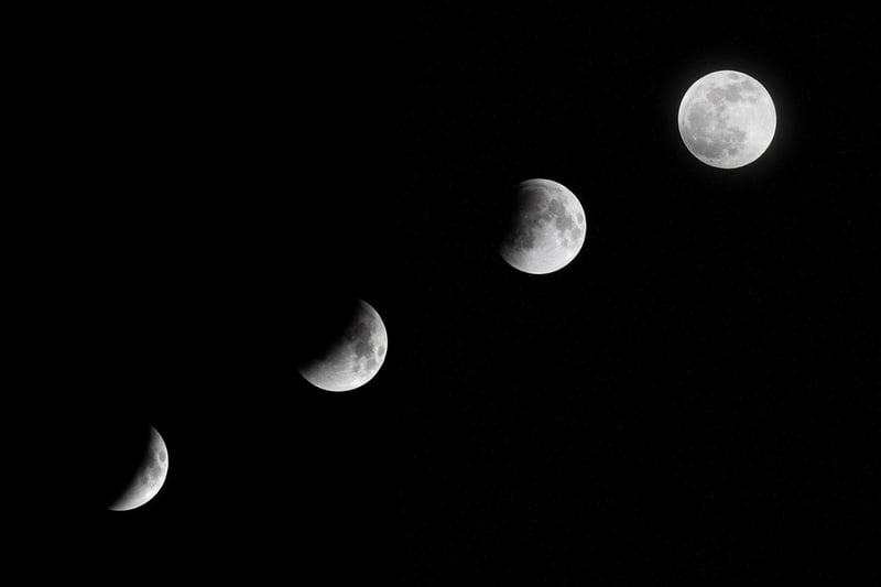Moon Phase Cakes