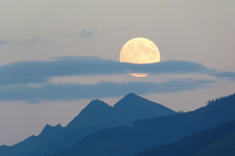 Romantic Moonlit Night